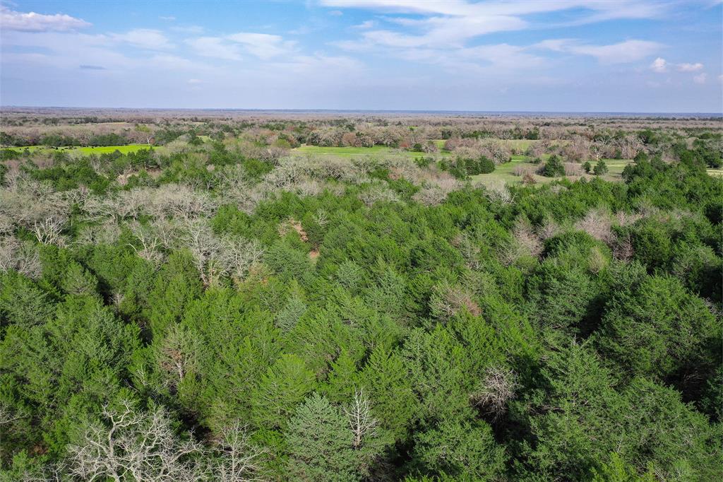 Lcr 426, Mexia, Texas image 7