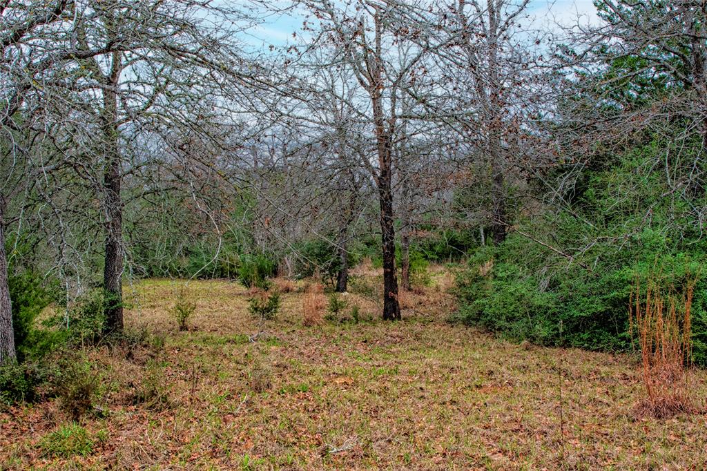 5100 Wood Duck Drive, Waelder, Texas image 23