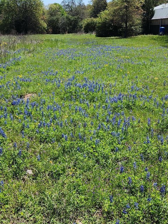 5100 Wood Duck Drive, Waelder, Texas image 21