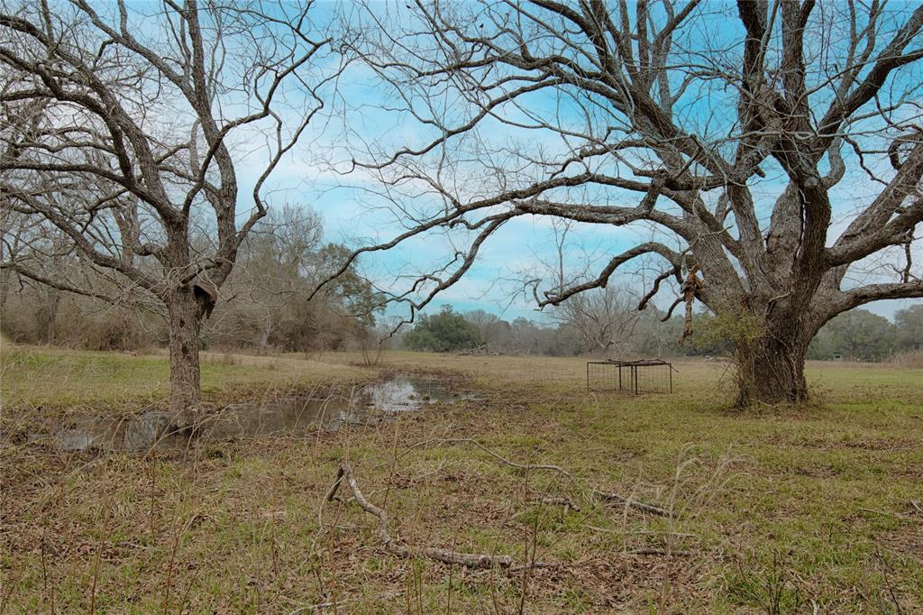 1820 S Old Smithville Road, Flatonia, Texas image 28