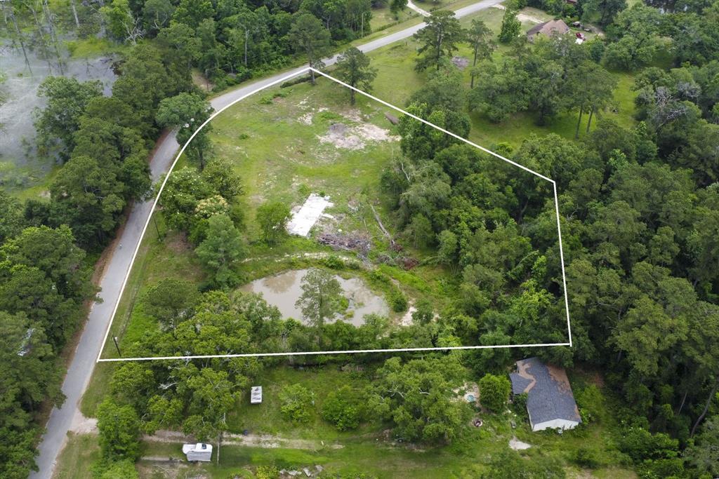 17340 Denise Road, Conroe, Texas image 4