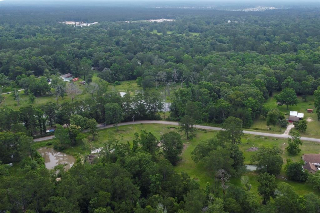 17280 Denise Road, Conroe, Texas image 11