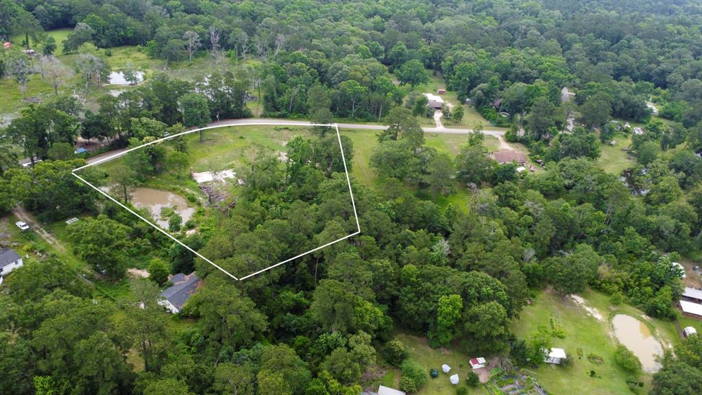 17340 Denise Road, Conroe, Texas image 12