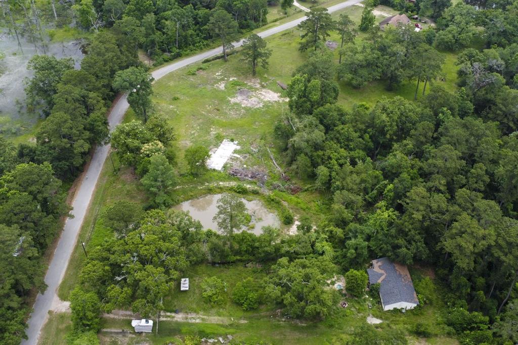 17340 Denise Road, Conroe, Texas image 3