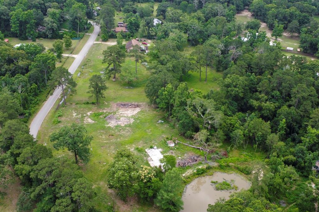 17280 Denise Road, Conroe, Texas image 15