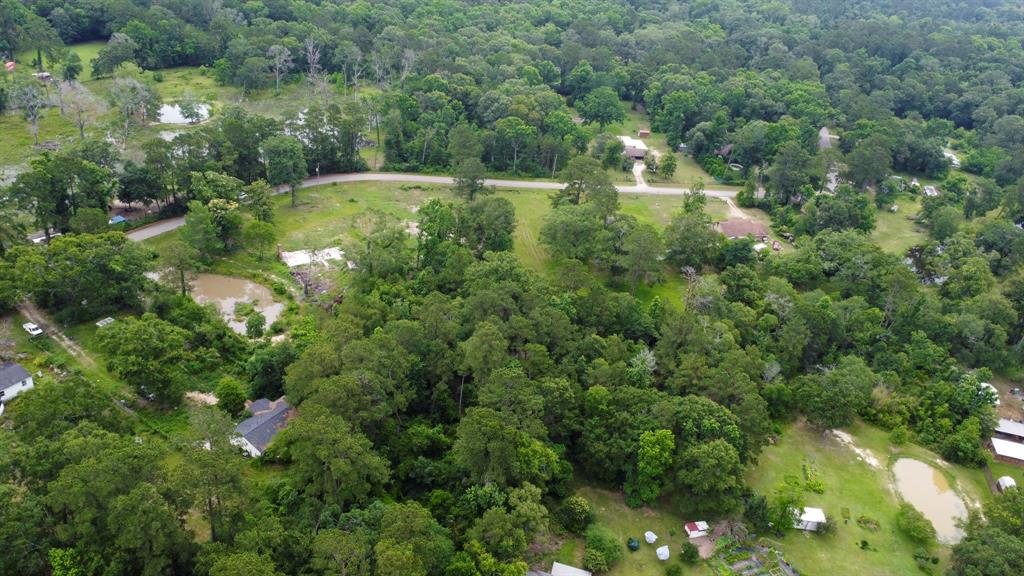 17280 Denise Road, Conroe, Texas image 13