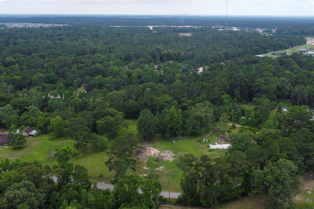 17280 Denise Road, Conroe, Texas image 2