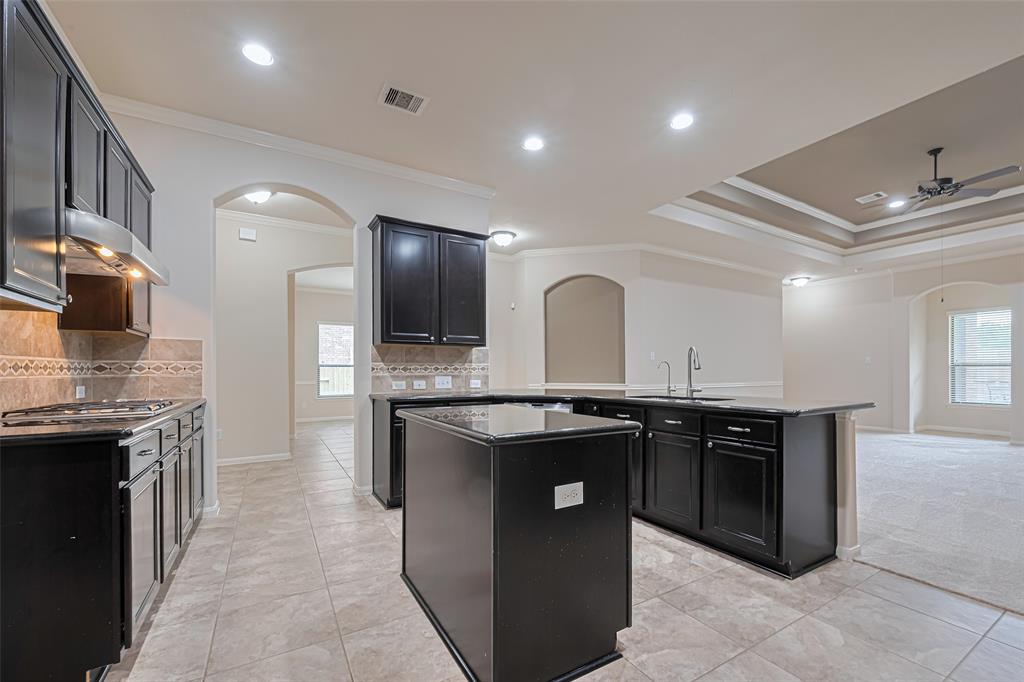 11010 Via Capri Court, Richmond, Texas image 11