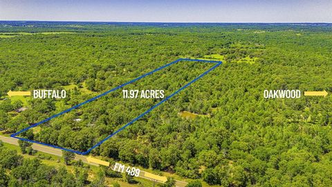 Photo of 1093 Fm 489, Oakwood, TX 75855 (MLS # 45940008) Photo of 1093 Fm 489, Oakwood, TX 75855 (MLS # 45940008)