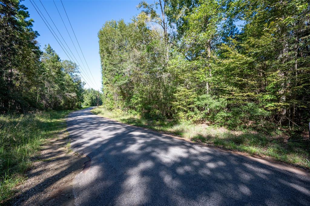 TBD County Rd 3000, Woodville, Texas image 4