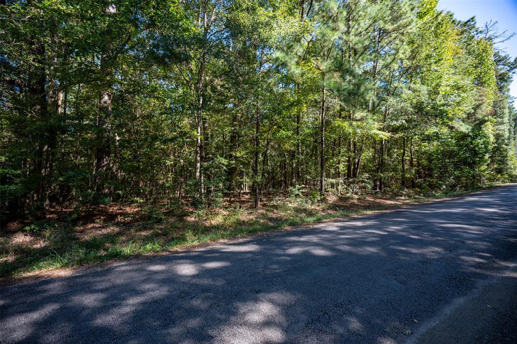 TBD County Rd 3000, Woodville, Texas image 5