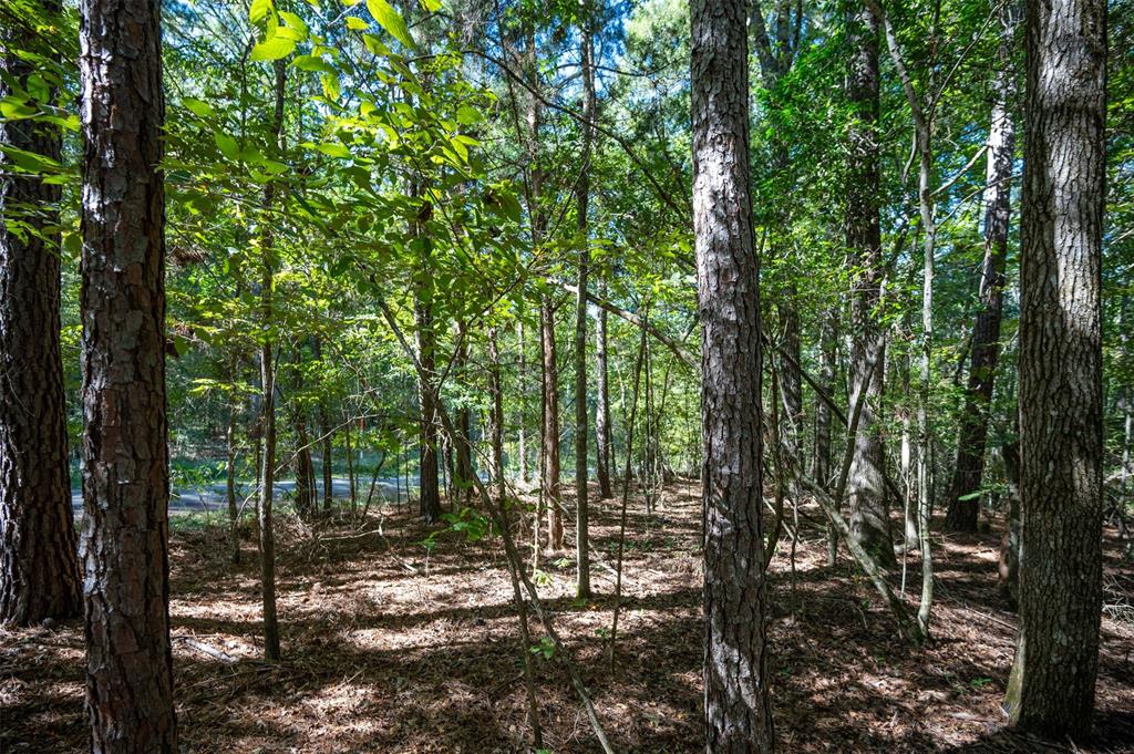 TBD County Rd 3000, Woodville, Texas image 1