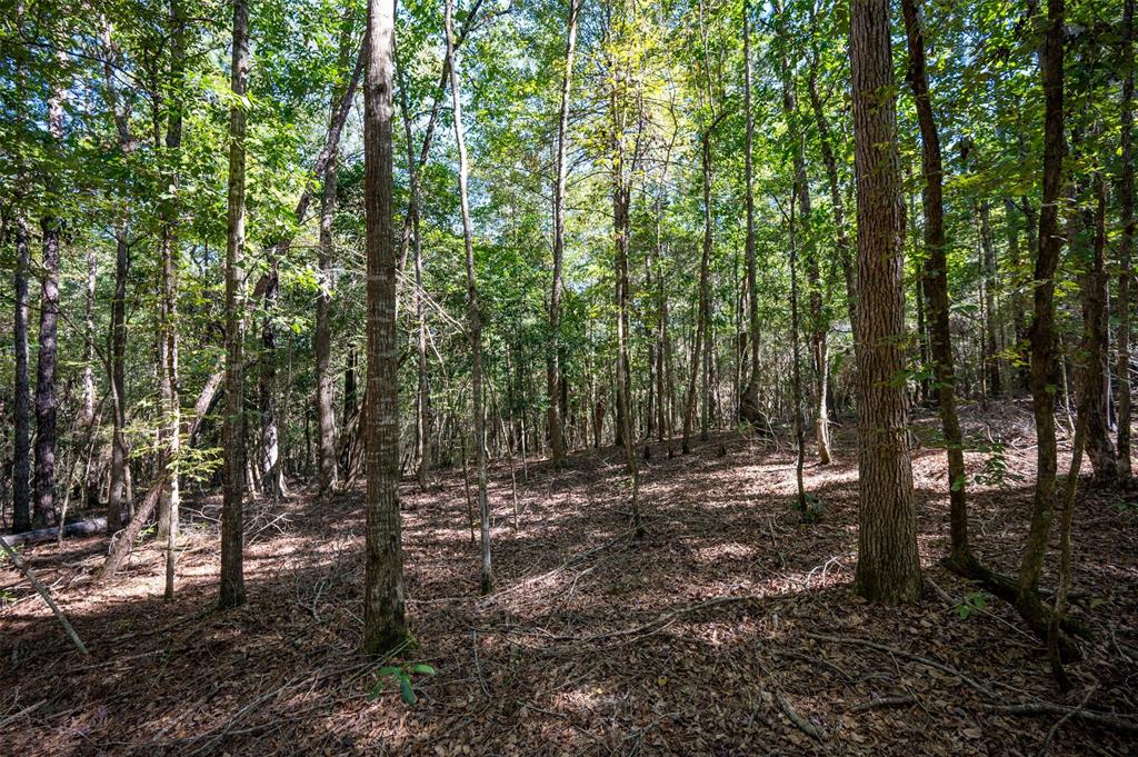 TBD County Rd 3000, Woodville, Texas image 3