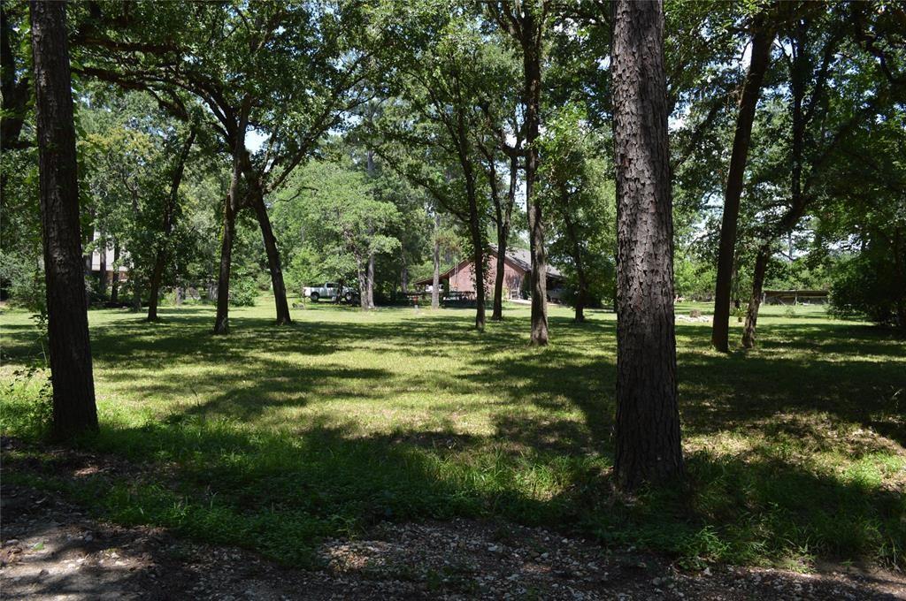 23379 Sweetgum Drive, Hockley, Texas image 5