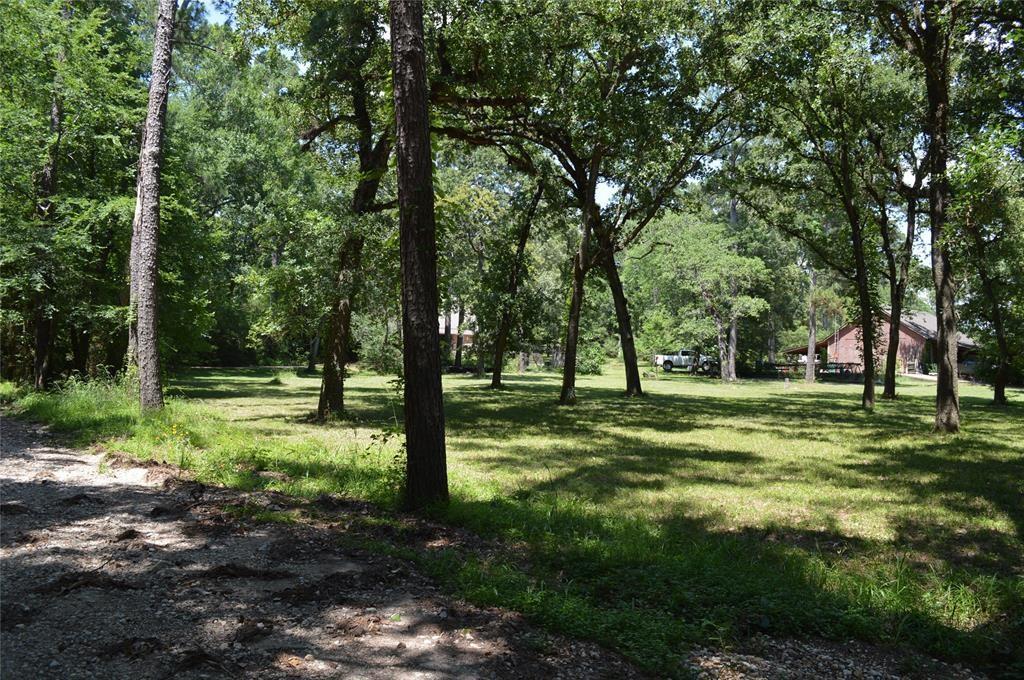 23379 Sweetgum Drive, Hockley, Texas image 7