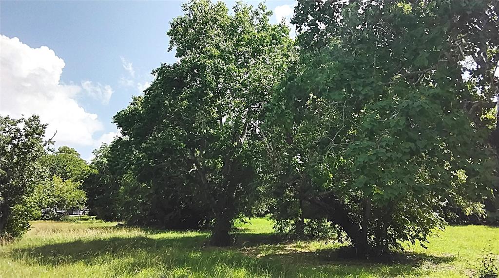 Lakeview Circle Circle, Coldspring, Texas image 3