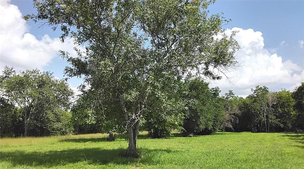 Lakeview Circle Circle, Coldspring, Texas image 7