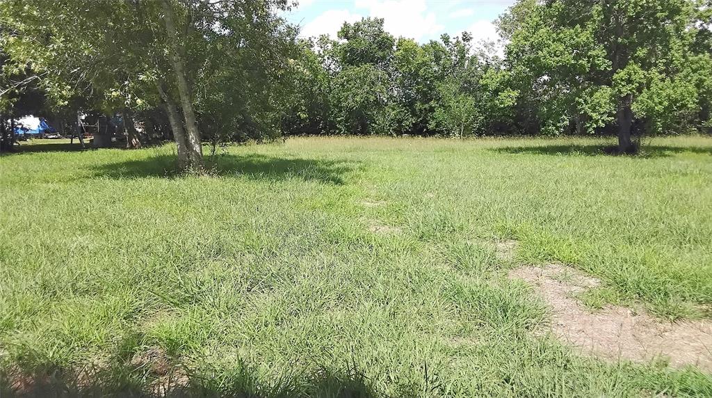 Lakeview Circle Circle, Coldspring, Texas image 8