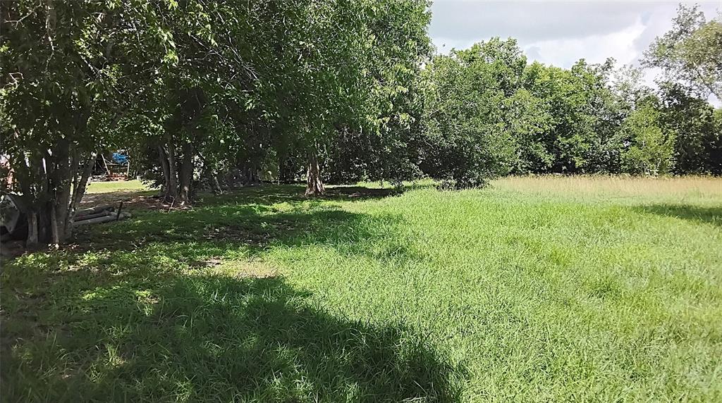 Lakeview Circle Circle, Coldspring, Texas image 6