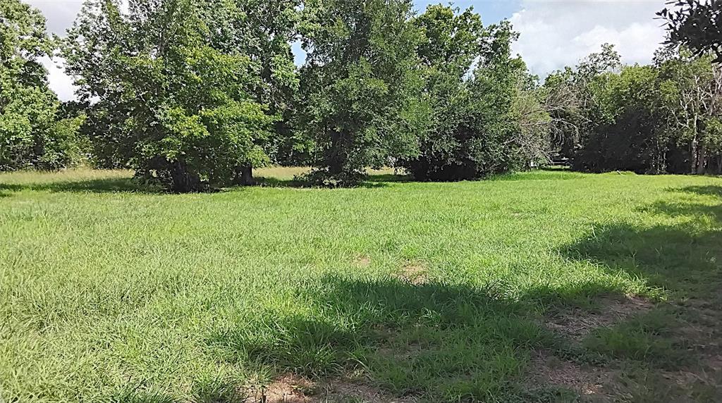 Lakeview Circle Circle, Coldspring, Texas image 2