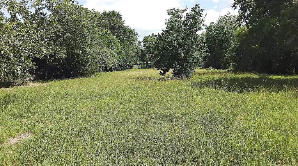 Lakeview Circle Circle, Coldspring, Texas image 5