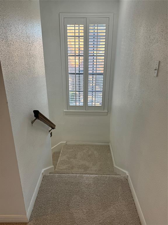 1052 Augusta Drive #101, Houston, Texas image 16