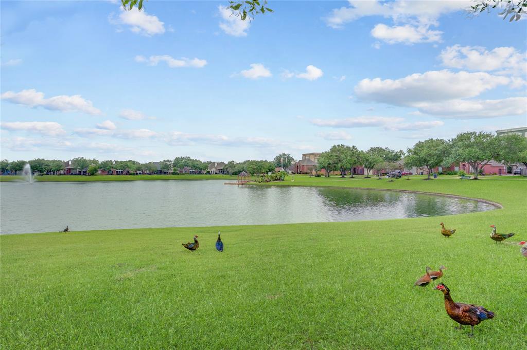 2701 Sunfish Drive, Pearland, Texas image 46