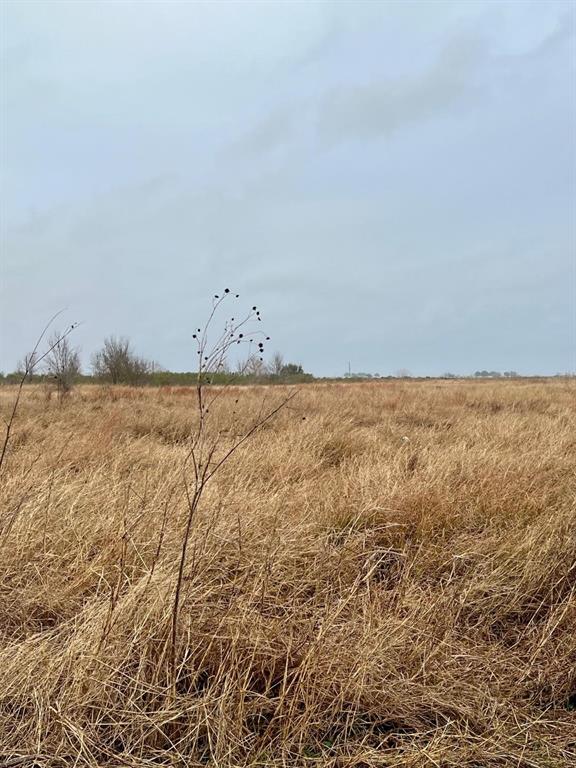 08 County Road 319, Edna, Texas image 4