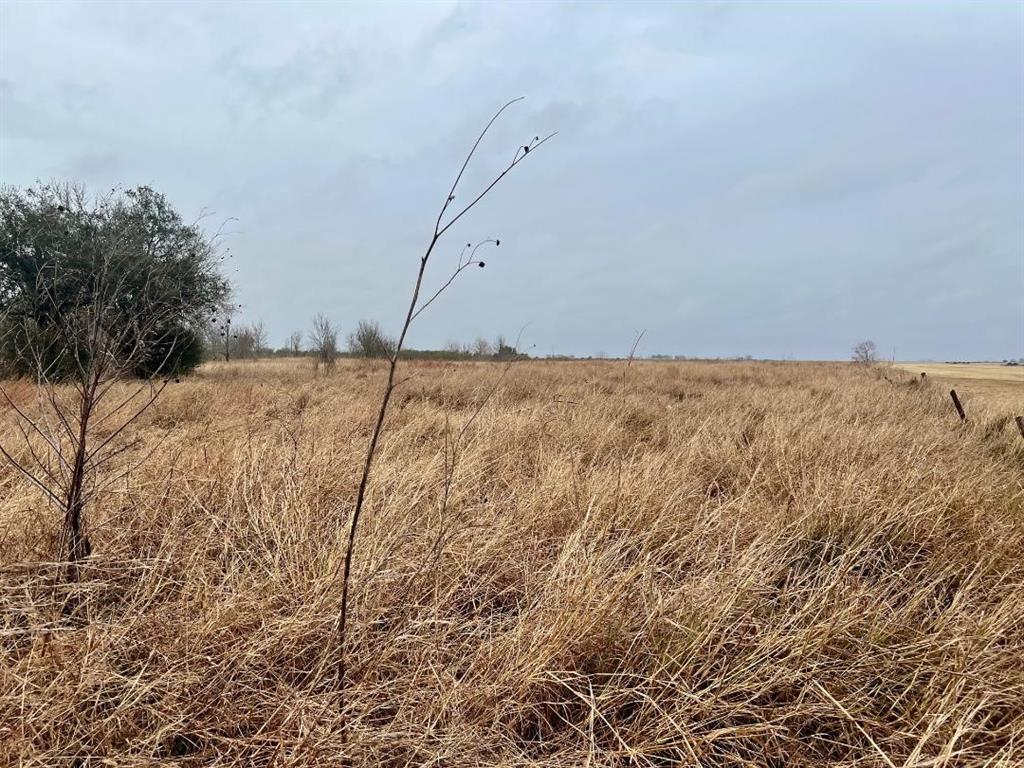 08 County Road 319, Edna, Texas image 3