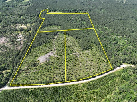 Vacant Land For Sale - 38 Groveton Flat Prairie Rd<br/> Trinity County, Groveton, TX 75854