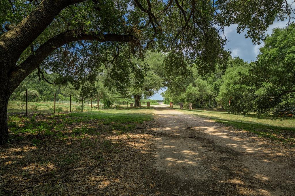 Tract 1 Omalley Road, Brenham, Texas image 8