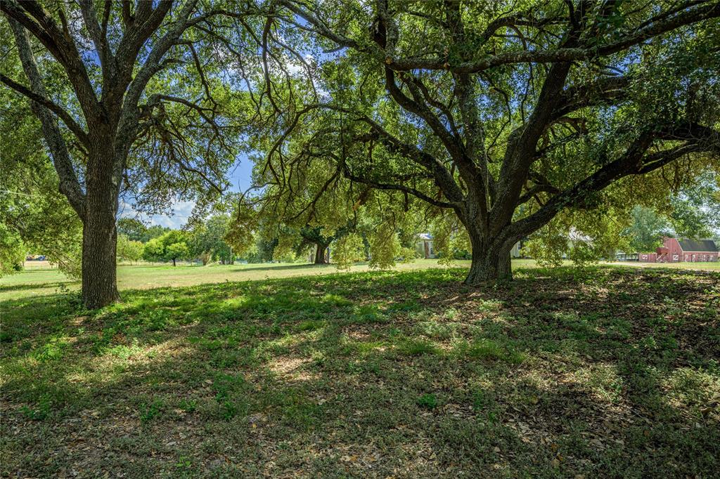 Tract 1 Omalley Road, Brenham, Texas image 23