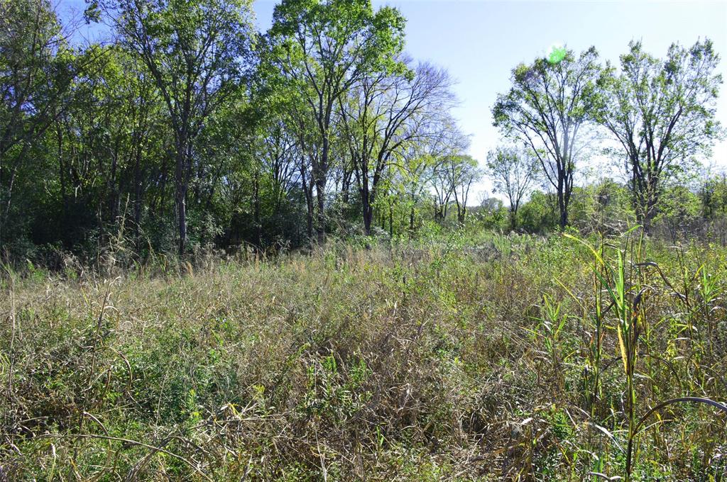 00001 Tx-105, Navasota, Texas image 10