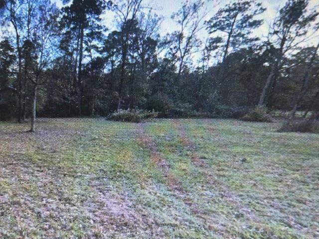 93 County Road 3478, Cleveland, Texas image 1