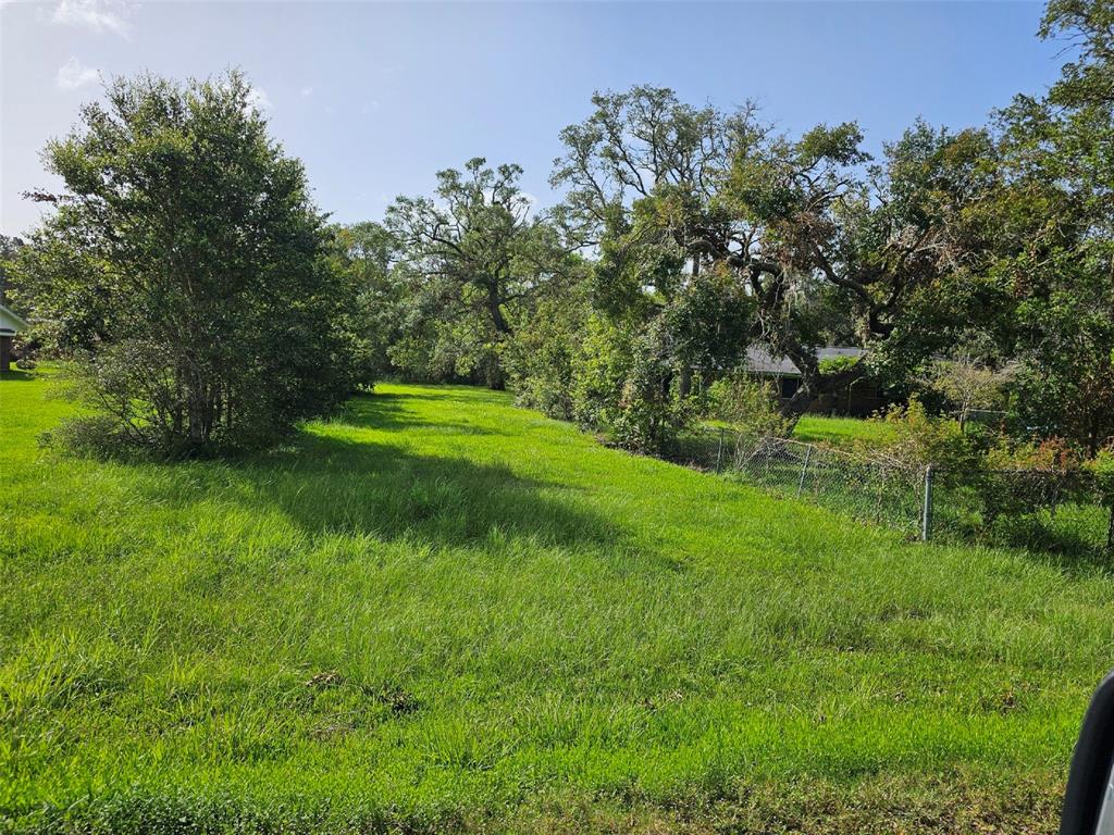 416 County Road 912a, Brazoria, Texas image 23