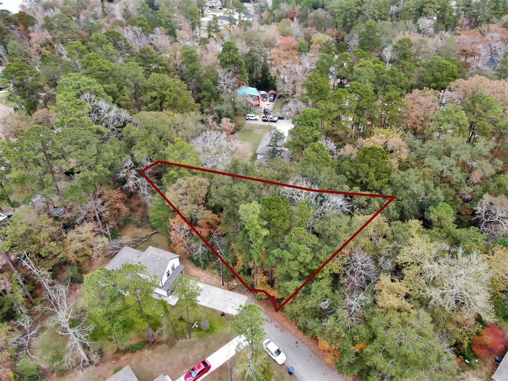 15184 Big Spring Circle, Willis, Texas image 2