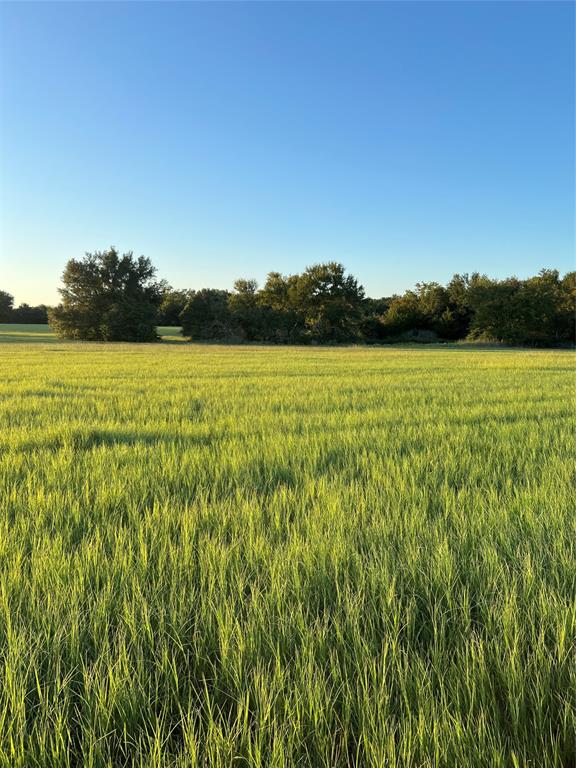 S Tidwell Prairie Road, Calvert, Texas image 5