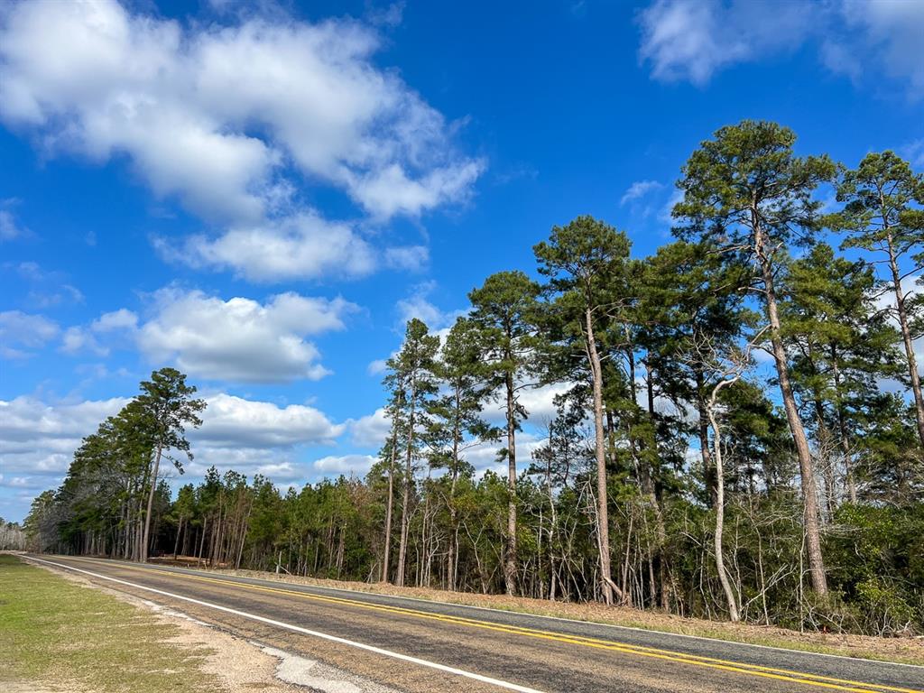 06 Fm 350, Livingston, Texas image 10