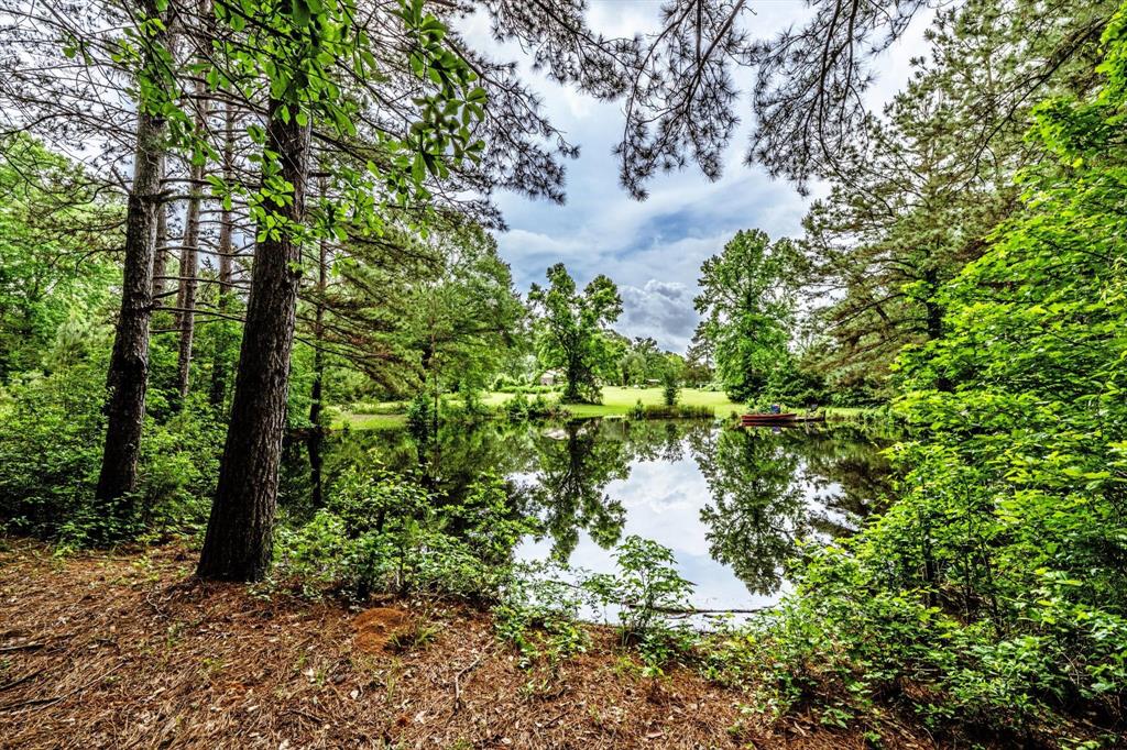 16 +/- Acres Parker Road, New Waverly, Texas image 6