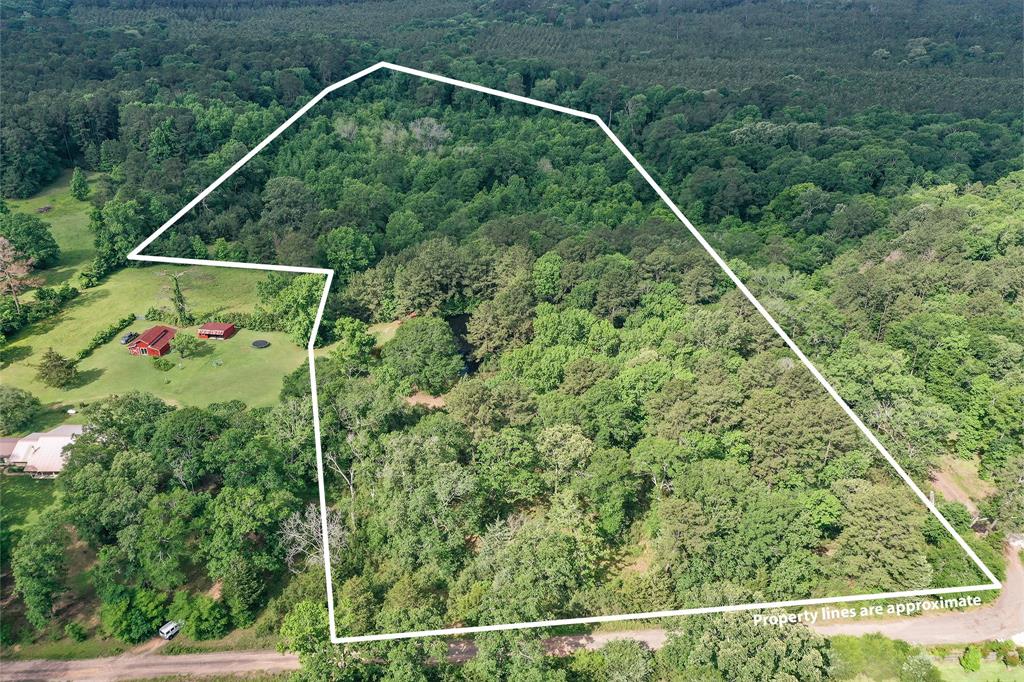 16 +/- Acres Parker Road, New Waverly, Texas image 2