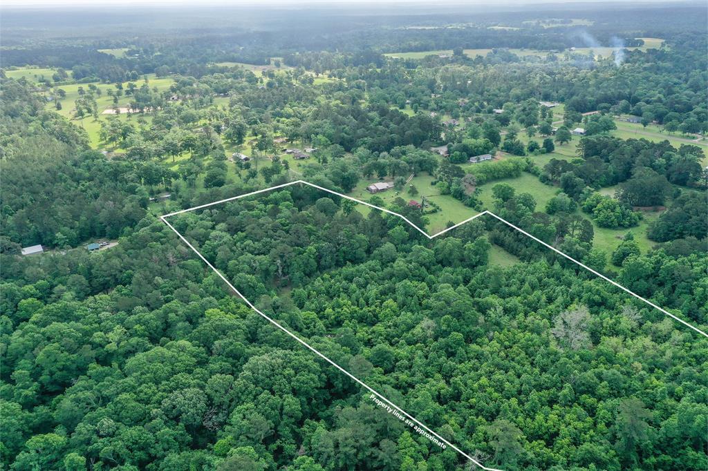 16 +/- Acres Parker Road, New Waverly, Texas image 10