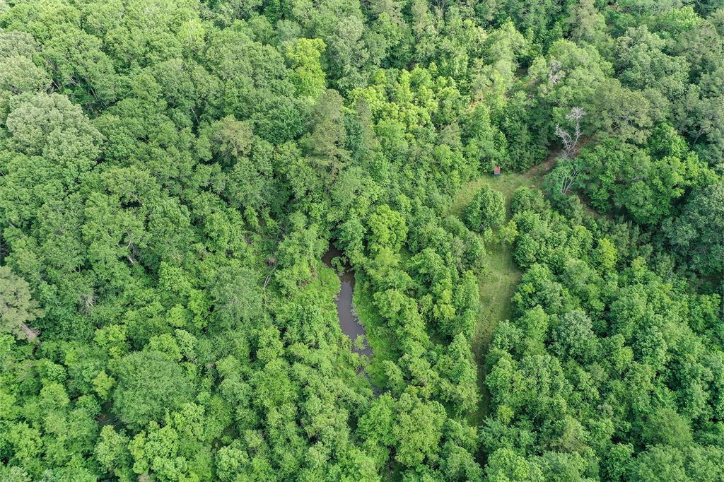 16 +/- Acres Parker Road, New Waverly, Texas image 15