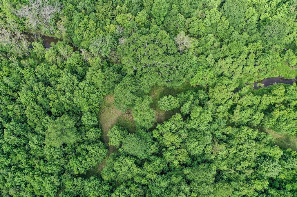16 +/- Acres Parker Road, New Waverly, Texas image 11