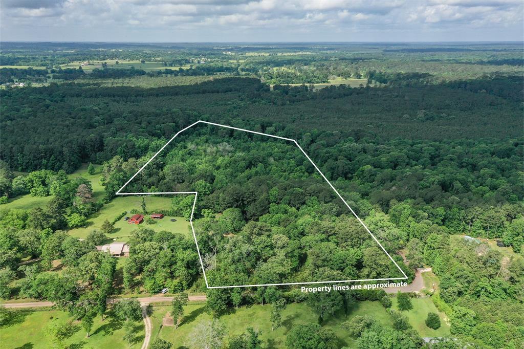 16 +/- Acres Parker Road, New Waverly, Texas image 1