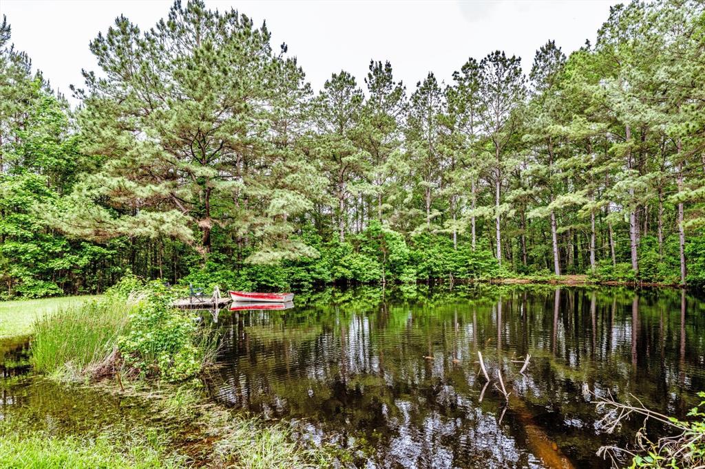 16 +/- Acres Parker Road, New Waverly, Texas image 3