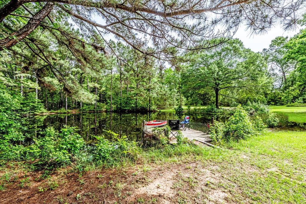 16 +/- Acres Parker Road, New Waverly, Texas image 7