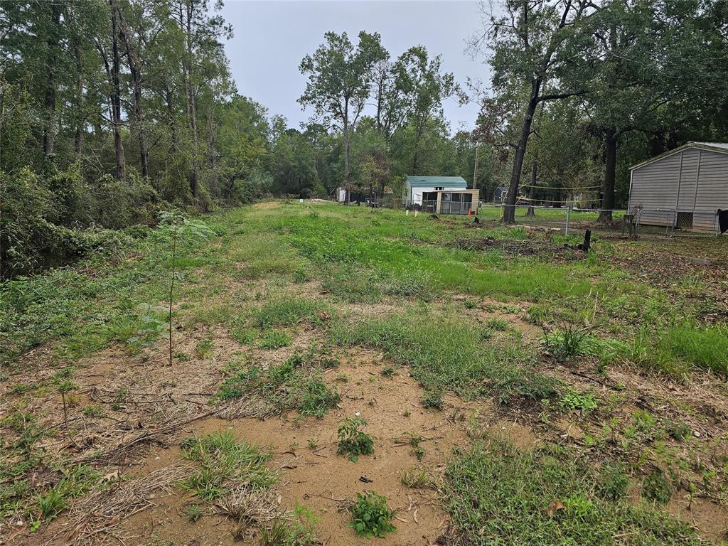 378 Elmwood Drive, Livingston, Texas image 9