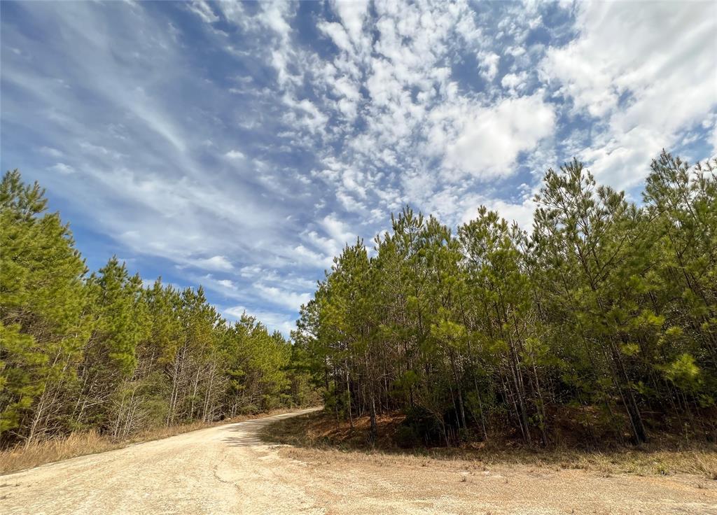 0000 Fm 1746, Spurger, Texas image 8