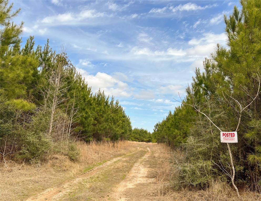 0000 Fm 1746, Spurger, Texas image 11