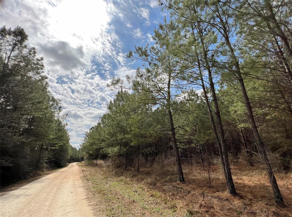 0000 Fm 1746, Spurger, Texas image 14